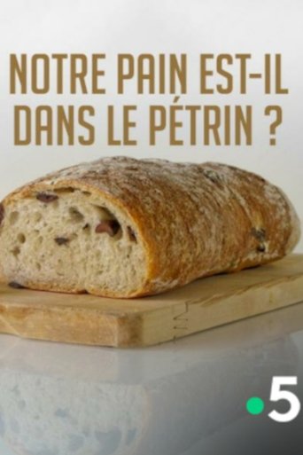 Poster of Notre pain est-il dans le pétrin ?