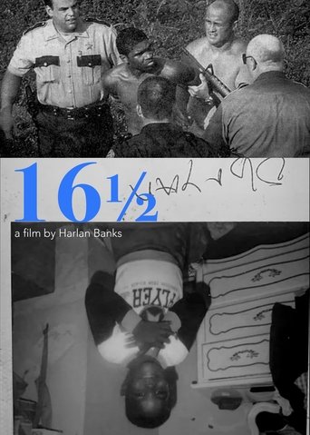 Poster of 16 1/2