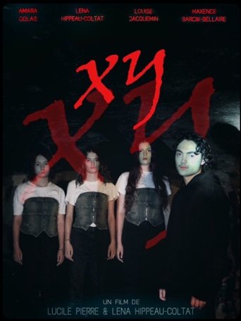 Poster of XY