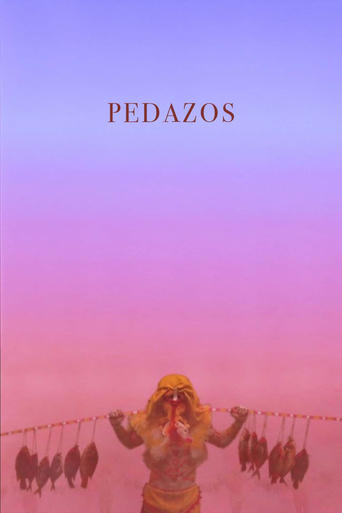 Poster of Pedazos