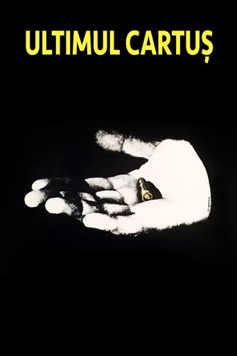 Poster of The Last Bullet