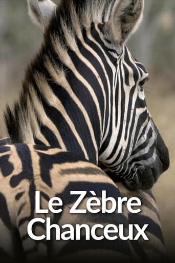 Poster of Le Zèbre chanceux