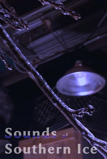 Poster of Sounds Of Southern Ice