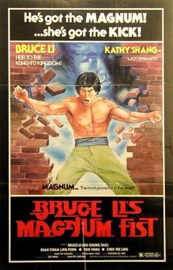 Poster of Bruce Li's Magnum Fist