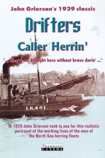 Poster of Drifters