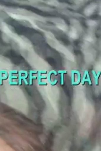 Poster of Perfect Day