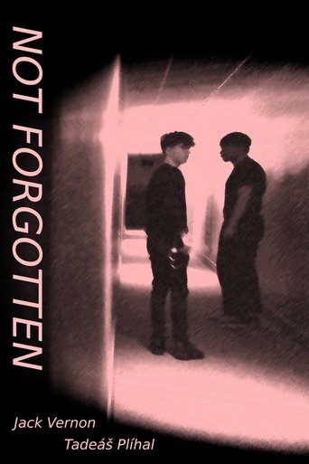 Poster of Not Forgotten