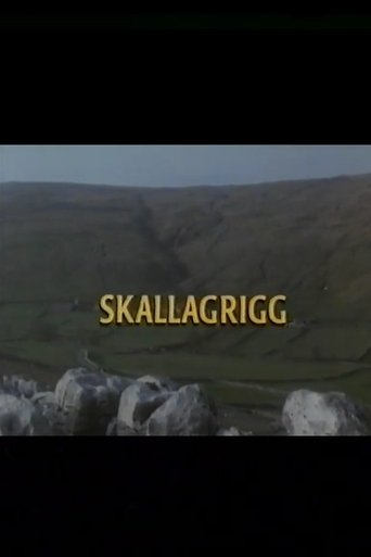 Poster of Skallagrigg