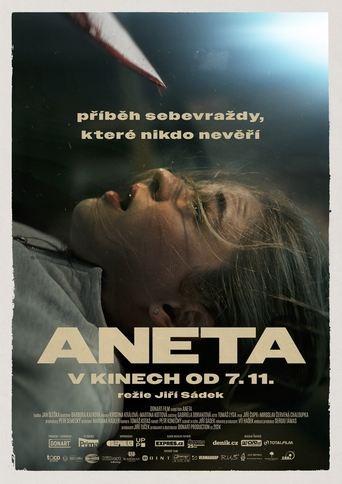 Poster of Aneta