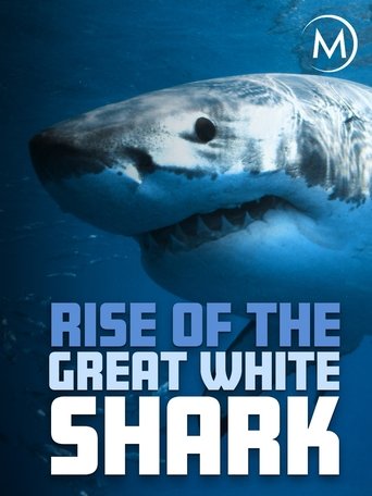 Poster of Rise Of The Great White Shark