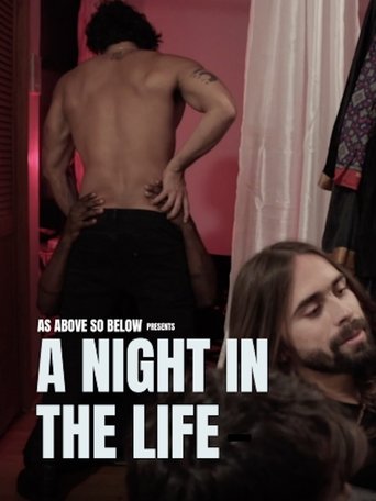 Poster of A Night in the Life