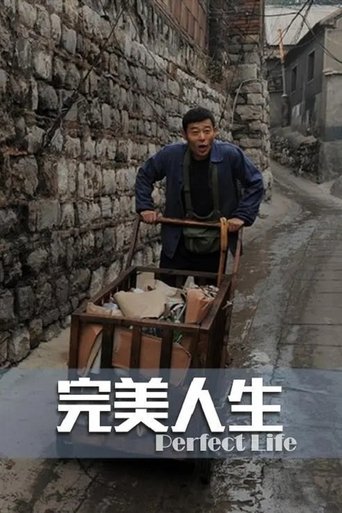 Poster of 完美人生