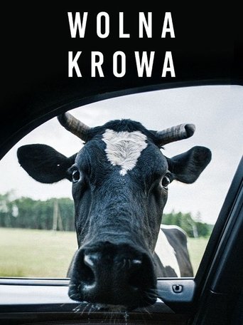 Poster of Free Cow