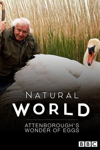 Poster of Attenborough's Wonder of Eggs