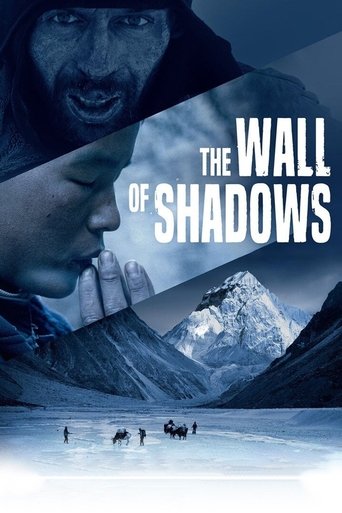 Poster of The Wall of Shadows