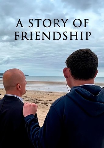 Poster of A Story of Friendship