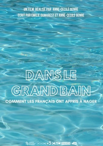 Poster of Dans le grand bain, comment les Français ont appris à nager