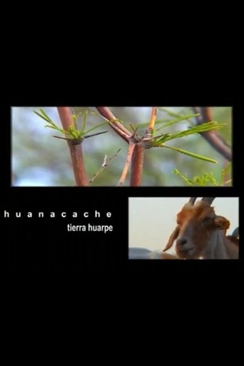 Poster of Huacanche, Tierra Huarpe