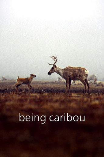 Poster of Being Caribou