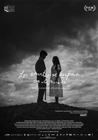 Poster of Los amantes se despiden con la mirada