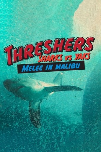 Poster of Threshers: Sharks vs. Yaks, Melee in Malibu
