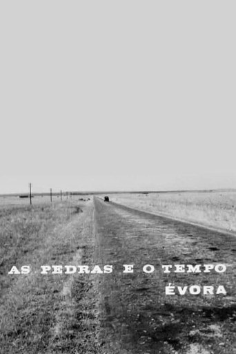 Poster of As Pedras e o Tempo