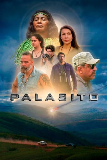 Poster of Pallasite