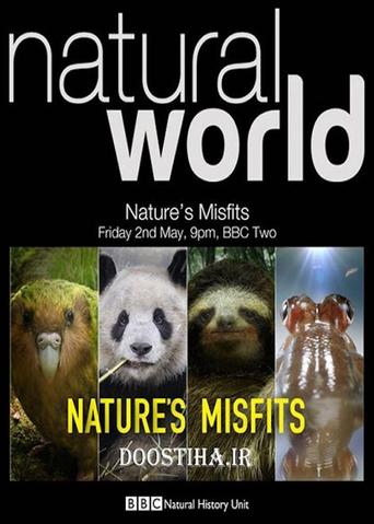 Poster of Nature's Misfits