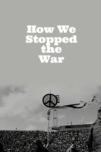 Poster of How We Stopped the War