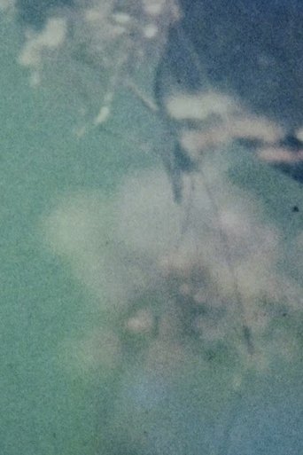 Poster of In the Broken Eye of the Butterfly
