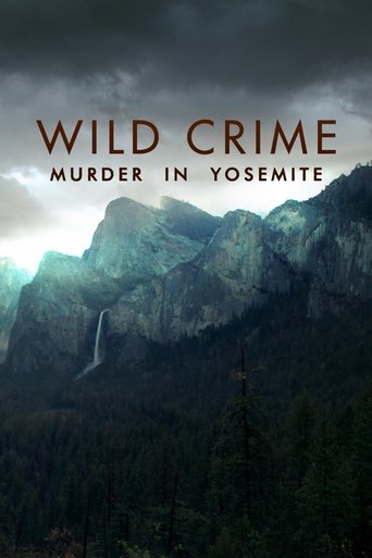 Poster of Wild Crime