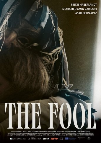 Poster of The Fool