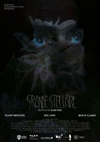 Poster of Grande Stellaire