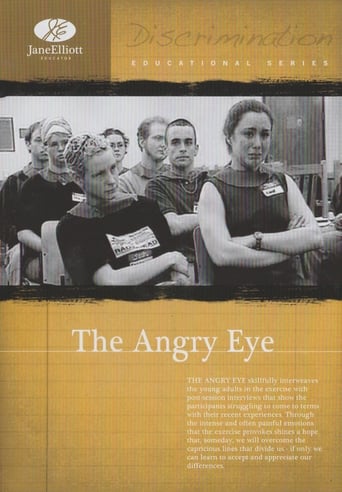 Poster of The Angry Eye