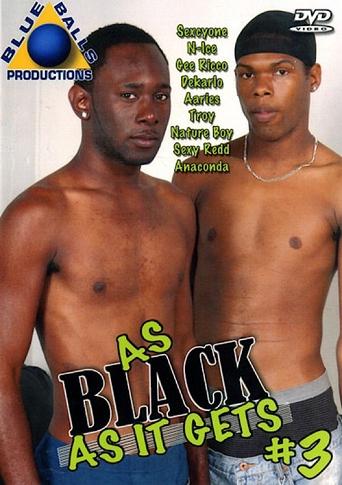 Poster of As Black as It Gets 3