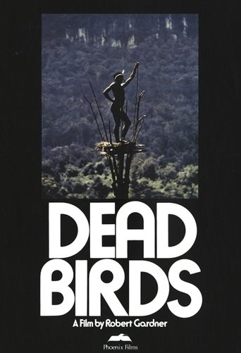 Poster of Dead Birds