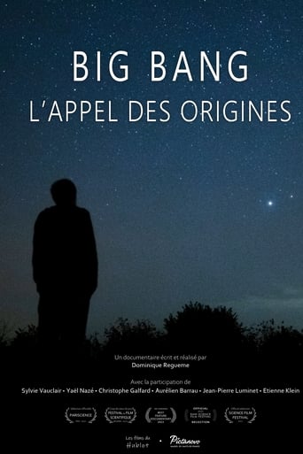 Poster of Big bang, l'appel des origines