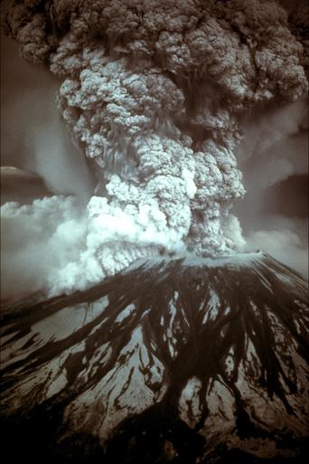 Poster of Beauty from the Ashes
