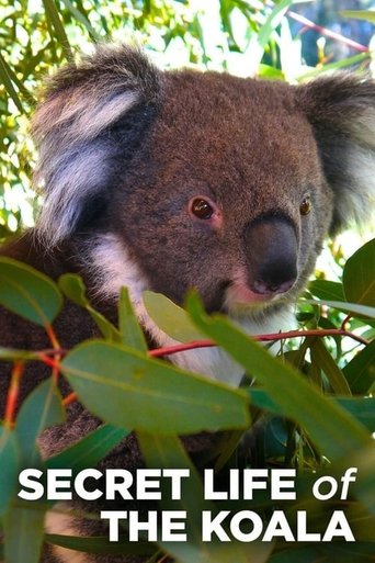 Portrait for Secret Life of the Koala - Season 1