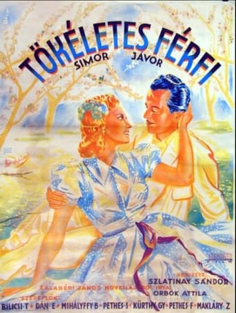 Poster of Tökéletes férfi