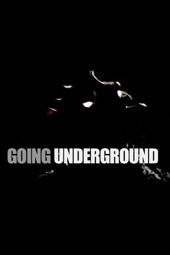 Poster of Going Underground