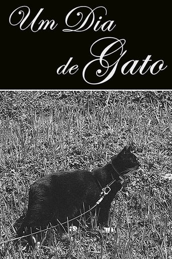 Poster of Um Dia de Gato