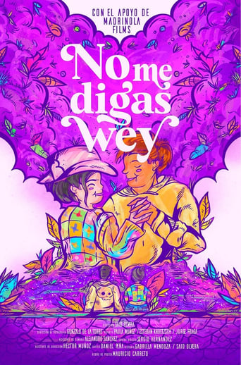 Poster of No Me Digas Wey