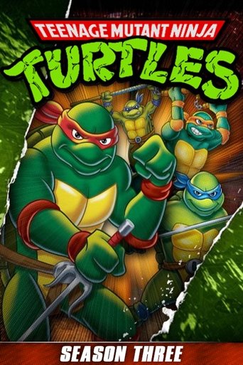 Portrait for Teenage Mutant Ninja Turtles - Season 3