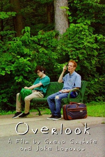 Poster of Overlook