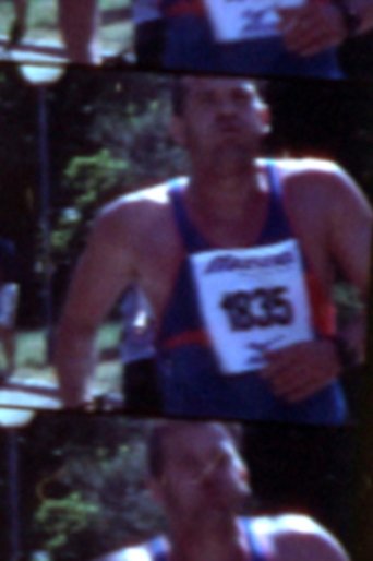 Poster of The Running