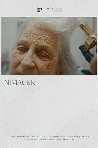 Poster of Nimager