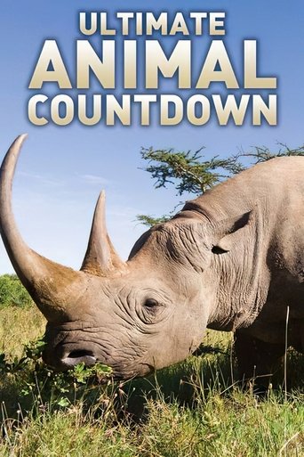 Poster of Ultimate Animal Countdown