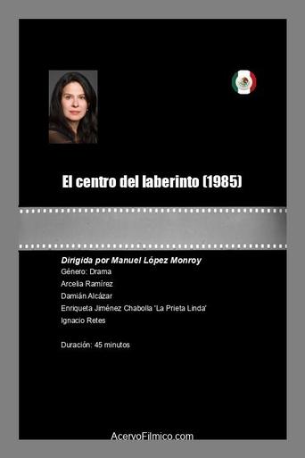 Poster of El centro del laberinto