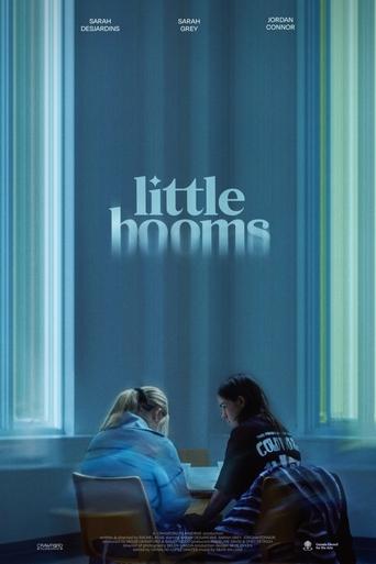 Poster of Little Booms